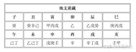 地支藏干意思|十二地支藏干 十二地支五行属性对照表